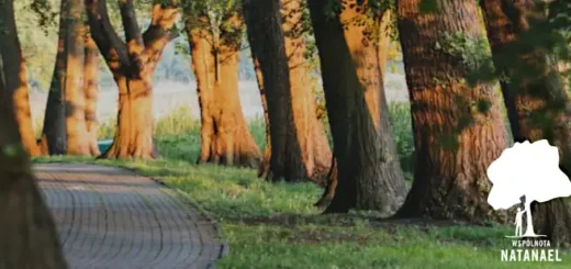 Natanael Poznań